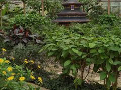 -南宫五洲植物乐园