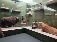 -国家自然博物馆