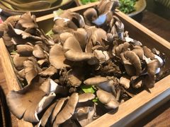 -盡膳口福跷脚牛肉火锅(合生汇购物中心店)