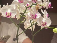 -漢舍中国菜馆(889广场店)