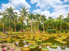-中国科学院西双版纳热带植物园