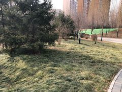 -北极寺公园