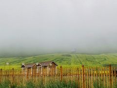 -扁都口生态休闲旅游区