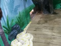 -石家庄市动物园