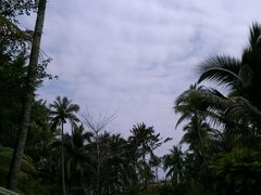 -三亚珠江南田温泉度假区