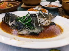 -稻香酒家·35年老字号(侨光店)