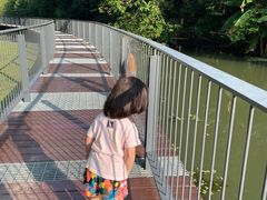 -昆山城市生态森林公园