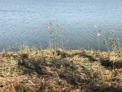 -天津东丽湖风景区