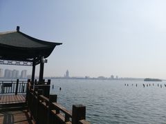 -厦门园林博览苑