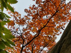 -天津盘山风景名胜区