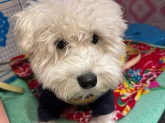 -白城车站店一九二八铁锅炖