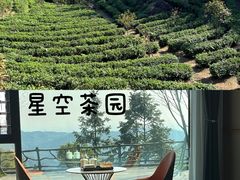 -趣飞飞黑麋峰国际滑翔伞基地