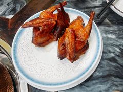 -鸽鸟轩(石岐店)