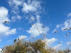 -捞渔河湿地公园