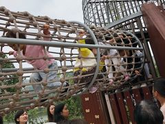 -枫香湖儿童公园