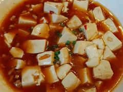 -新世纪酒店(阳朔西街店)