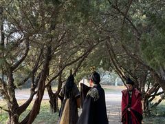 -洛阳古墓博物馆