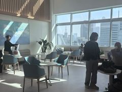 -东北大学附属辽宁爱尔眼科医院