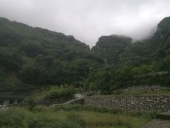 -牛背梁国家森林公园
