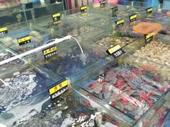 -明记海鲜大排档(巽寮湾店)