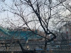-清真盛志望麻酱酿皮·非遗老字号