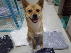 -优衣库(温州财富购物中心店)