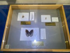 -上海昆虫博物馆