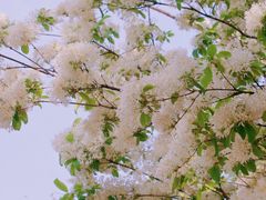 -泰丰公园