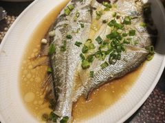 -桂大叔·砂锅粥·家传闽粤菜(县西巷店)