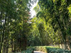 -天目湖涵田度假村