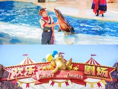 -三亚海昌梦幻海洋不夜城