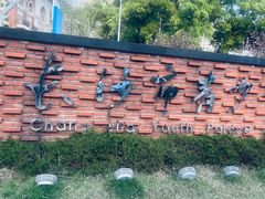 -长沙市青少年宫