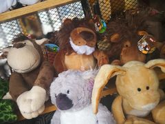 -ZOO COFFEE 动物园咖啡(亦庄店)