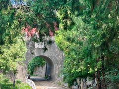 -云岗森林公园