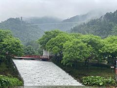 -南丹山森林王国
