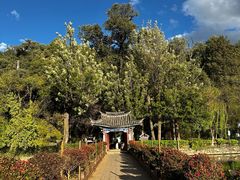 -黑龙潭公园