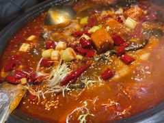 -探鱼·鲜青椒爽麻烤鱼(北京路天河城店)