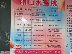 -老袁家蜜桃农场·阳山水蜜桃