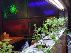 -望京一号·重庆江湖菜(工体店)