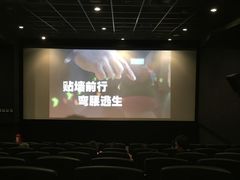 -新影联·华谊兄弟影院(望京店)