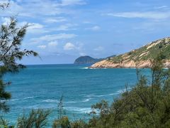 -广东惠东海龟国家级自然保护区