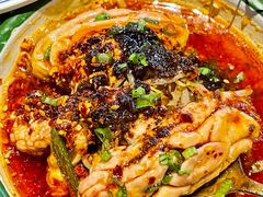 -高胖妹面庄(黄河道店)