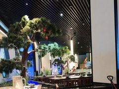 -绿茶餐厅(成都大悦城店)