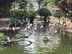 -九龙公园