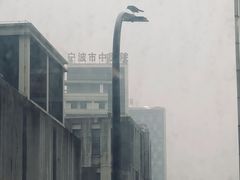 -老陕西面馆(恒茂商业广场店)