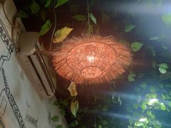 -三里屯土灶炖公鸡地锅鸡(江东店)