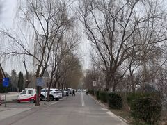 -铁谢李松祖传羊肉汤馆