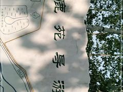 -北京麋鹿生态实验中心