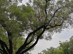 -国家图书馆·古籍馆