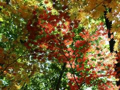 -丹东天桥沟景区